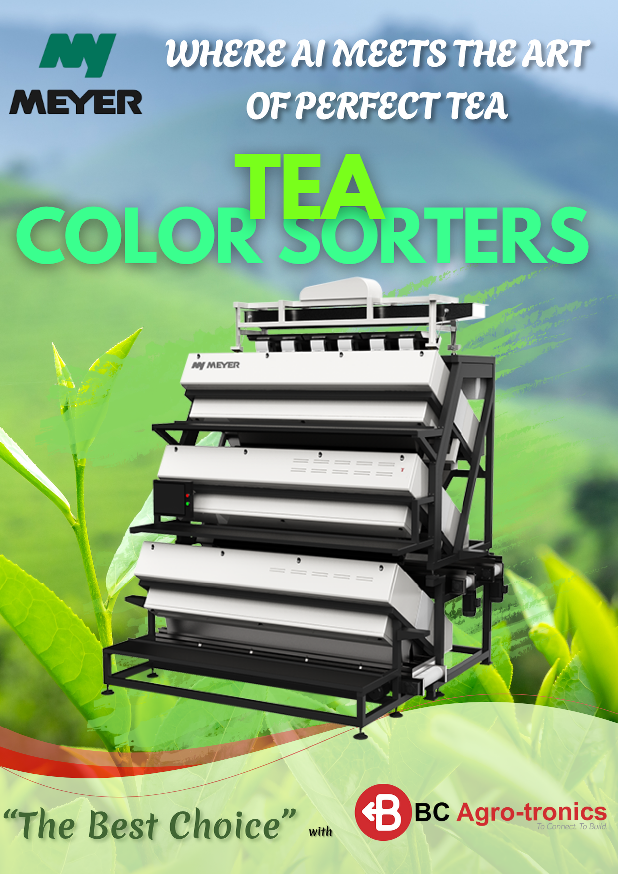 5 Stage Tea Color Sorter